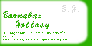 barnabas hollosy business card